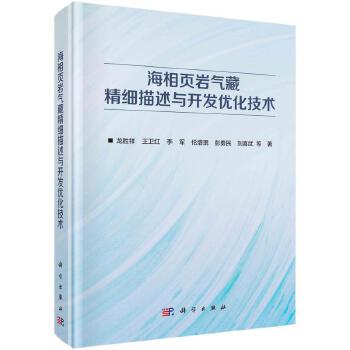海相頁(yè)巖氣藏精細(xì)描述與開(kāi)發(fā)優(yōu)化技術(shù) 科學(xué)出版社
